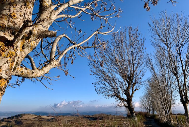 Gîtes Altobraco - Panorama hivernal sur plateaux et Causses depuis le sentier au-dessus des gîtes