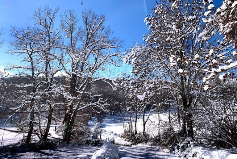 neige chemin lisiere