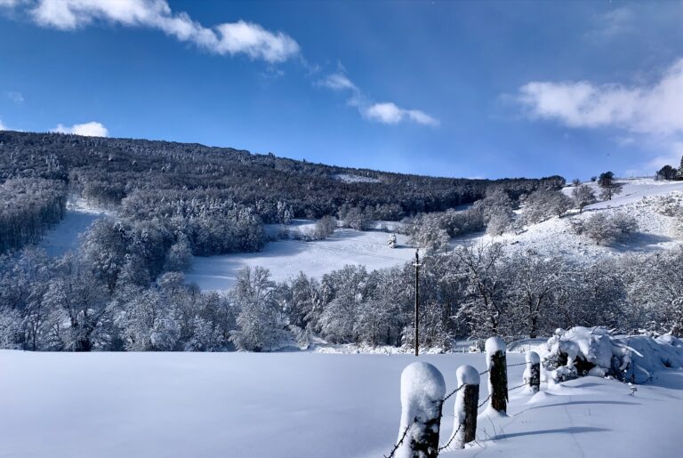neige jardin bois trebatut