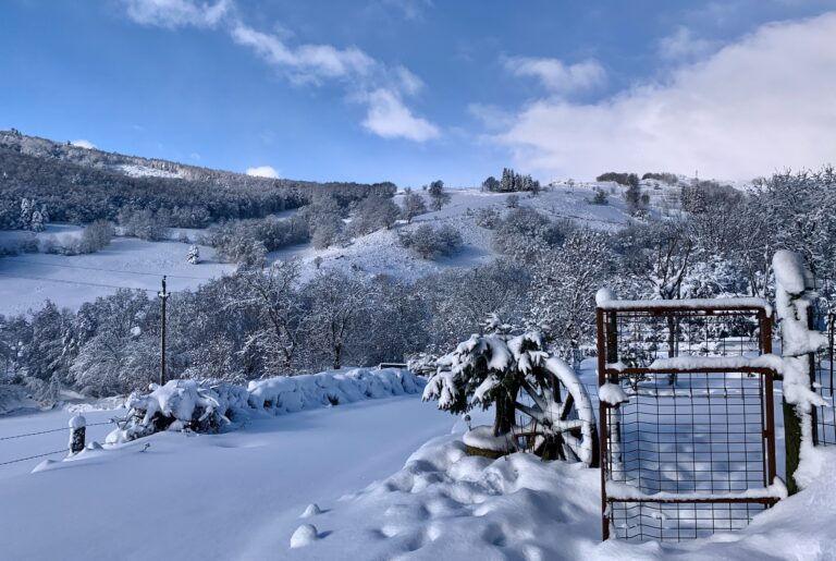 neige jardin portillon