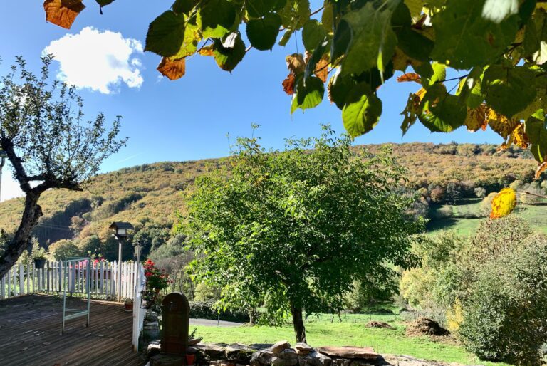 Gîtes Altobraco - noyer et bois de hêtres depuis le jardin des gîtes