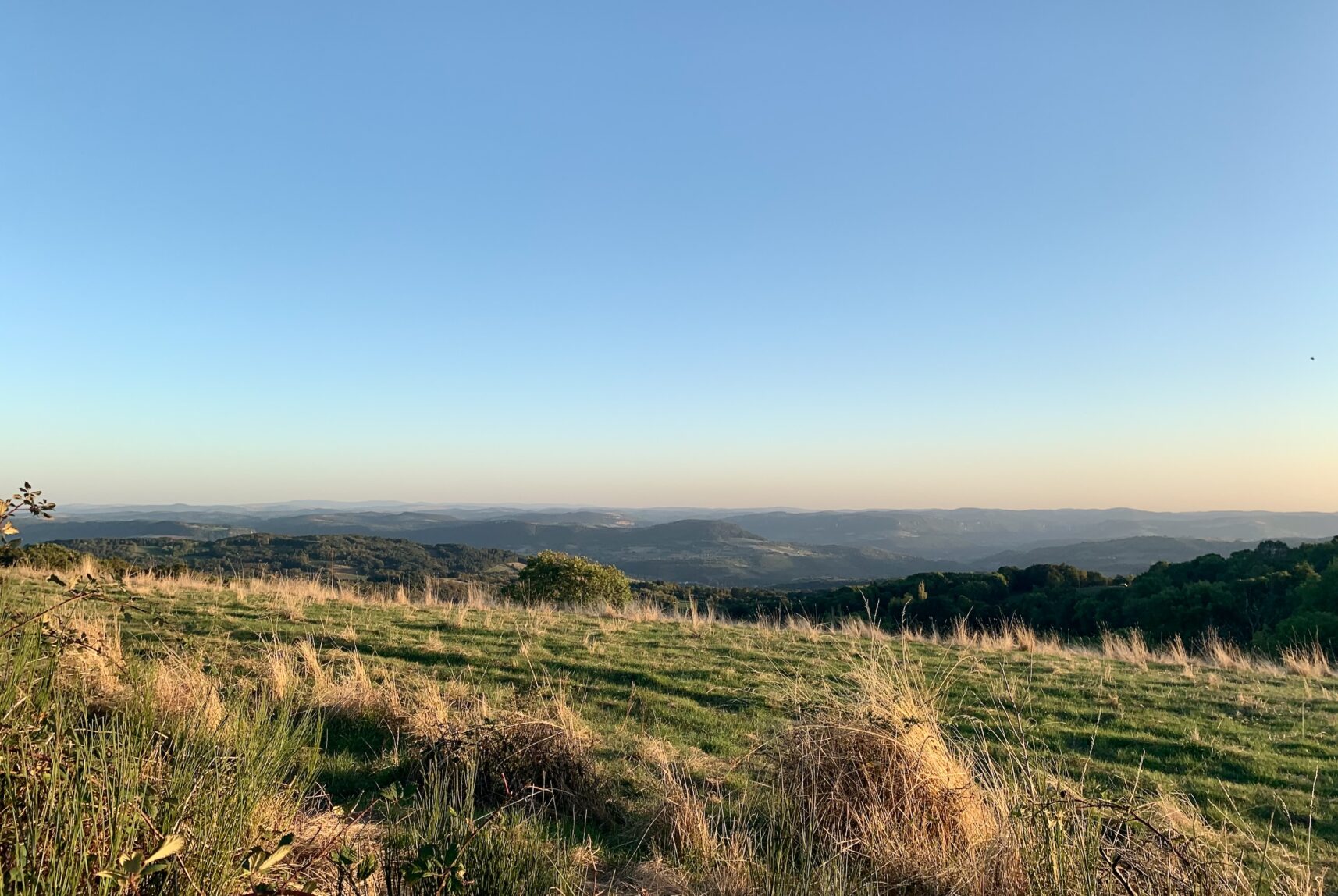 Paturage crete causses