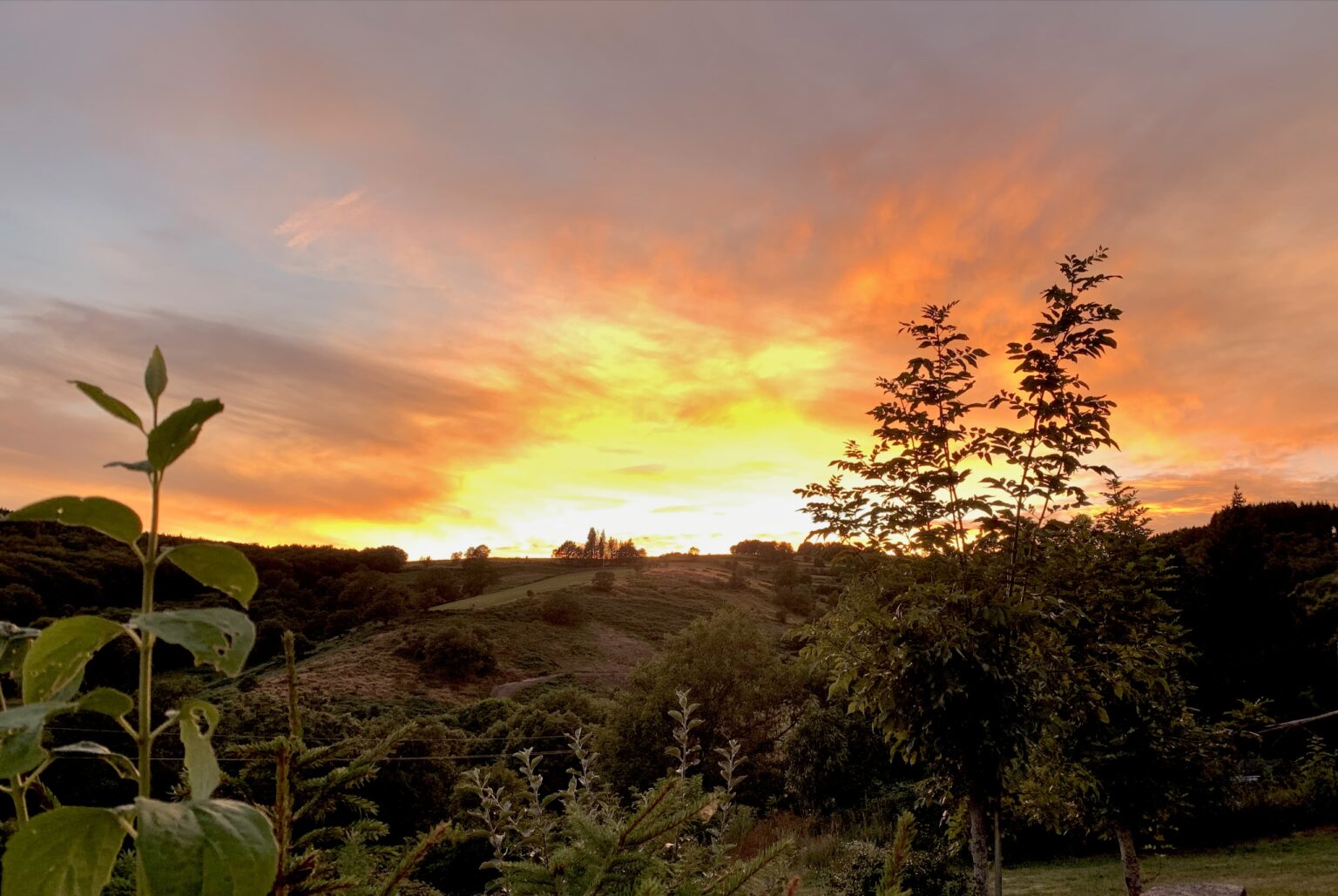 sunset crepuscule jardin