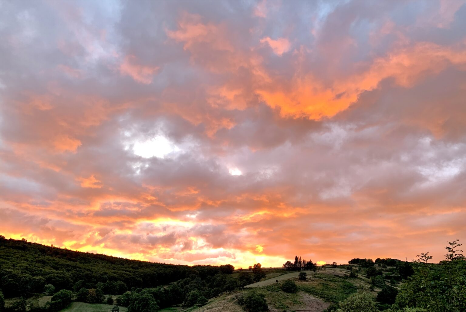 sunset crepuscule jardin