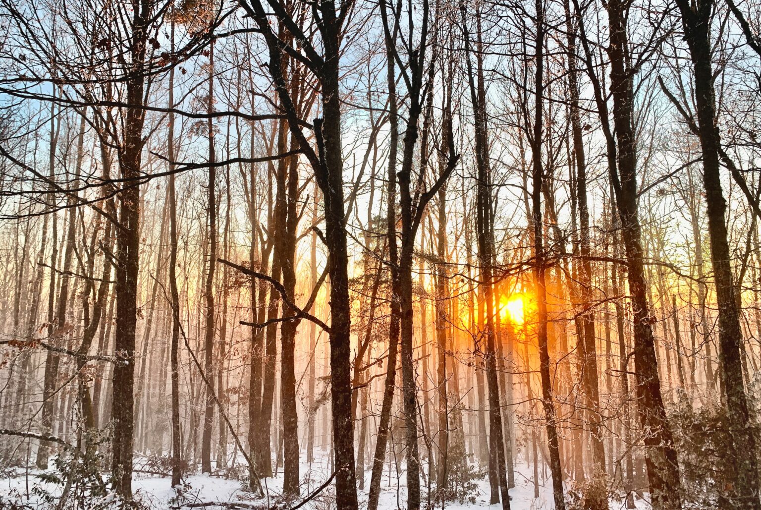 sunset-foret-gelee-de-brume-3