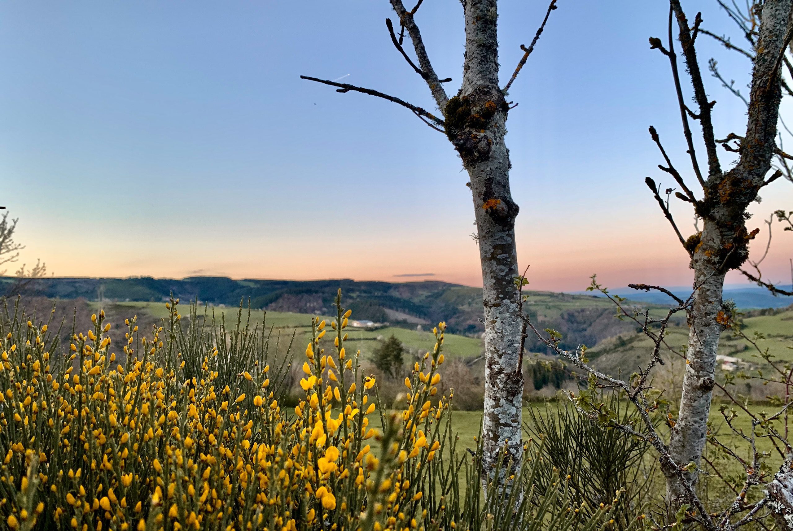 Gîtes Altobraco - Goûter le Printemps en Aubrac, un séjour pour se ressourcer dans nos Gîtes