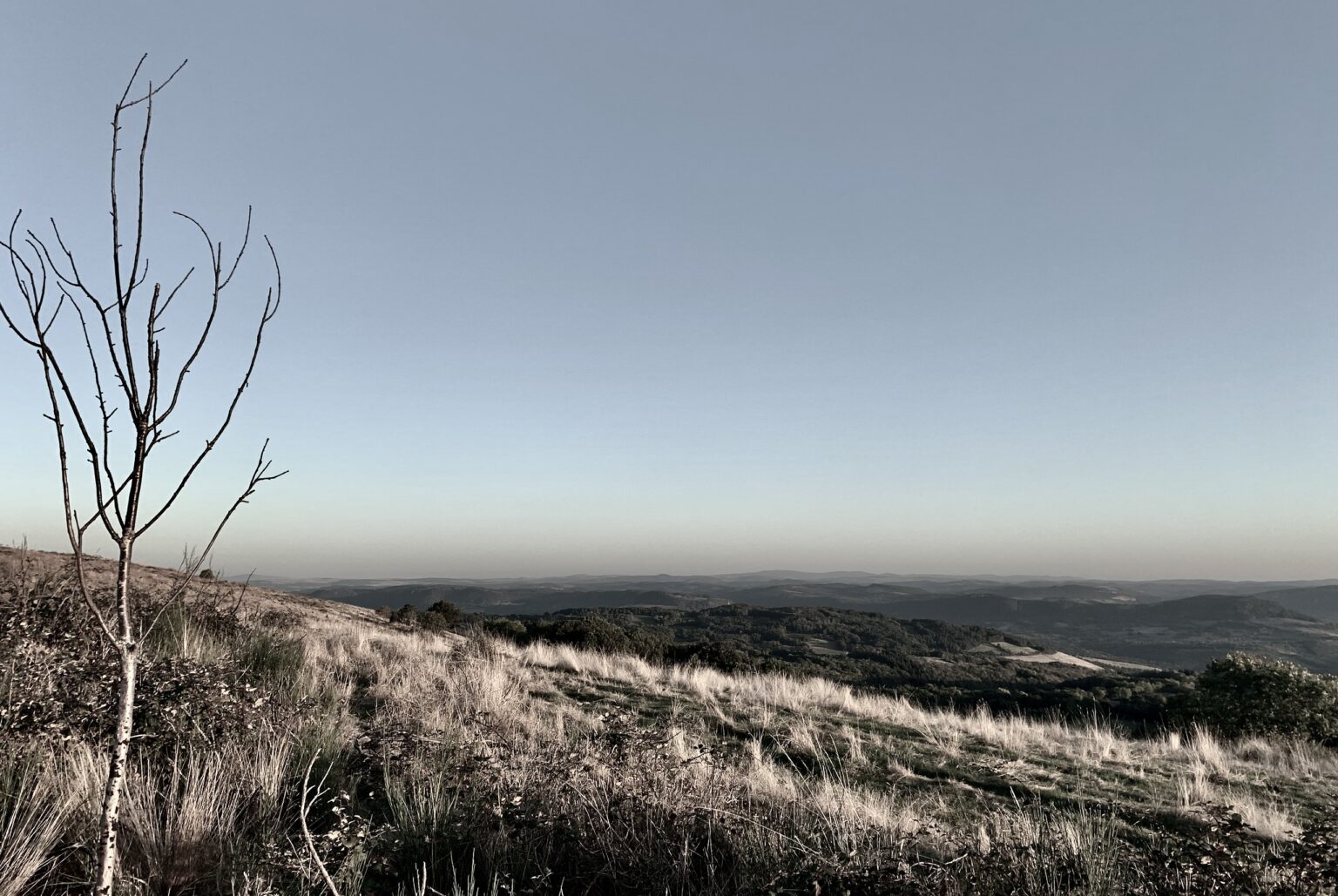 Paturage-crete-causses-3