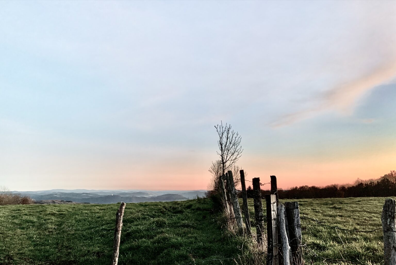 crepuscule-pature-piquets