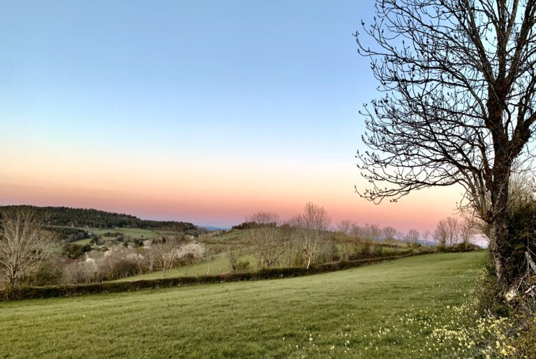 paturages-crepuscule-printemps