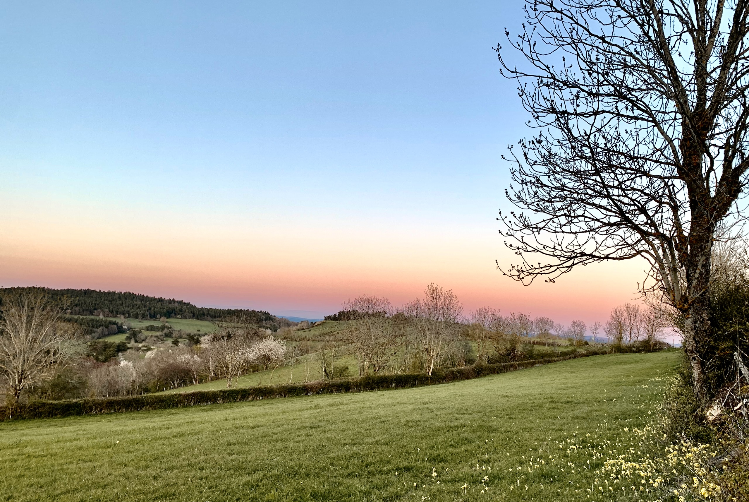 paturages-crepuscule-printemps