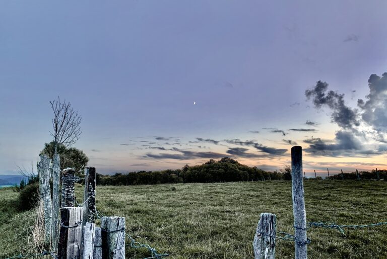 gites-altobraco-pature-crepuscule-piquets