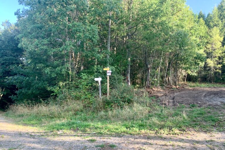 GR60XGR670-trebatut-foret