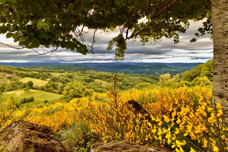Panorama-causses-genets-frene